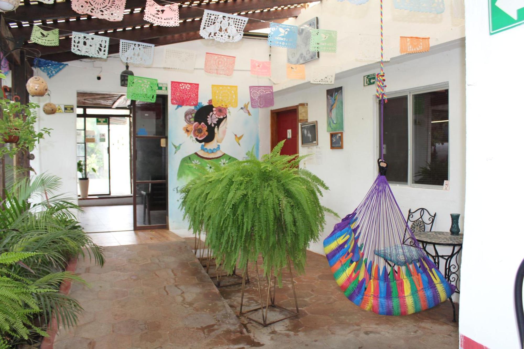 Cabanas Colibri Бакалар Екстериор снимка